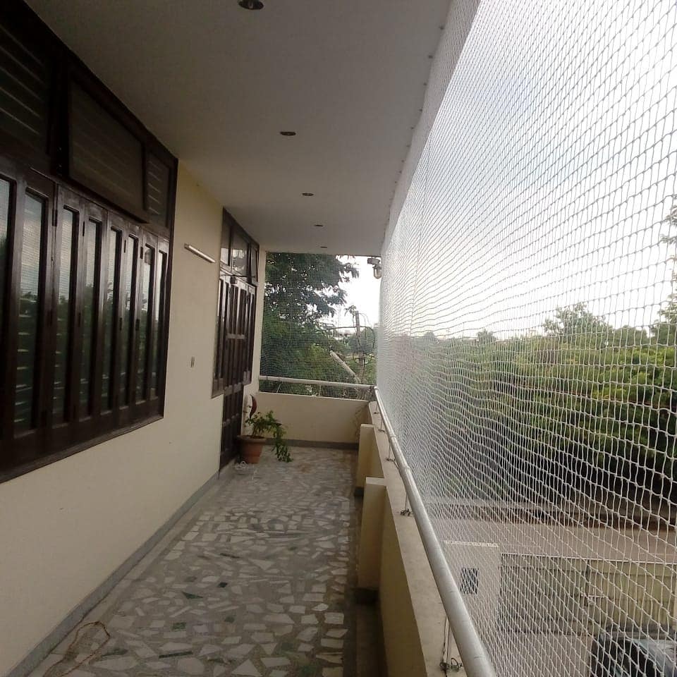 Bird-Netting-11